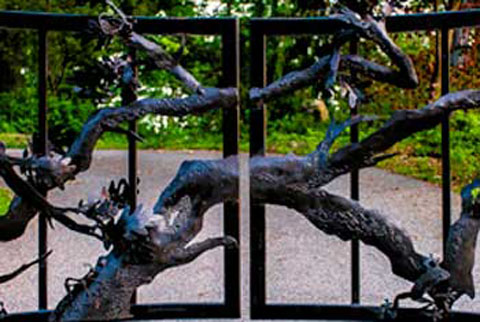 Oak Limb Gate