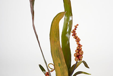 Grasses and Blooms