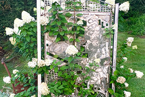 Stainless Steel Gate with Hydrangea